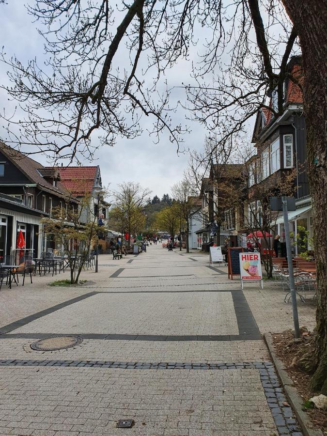 Apartment Am Bocksberg Goslar Ngoại thất bức ảnh