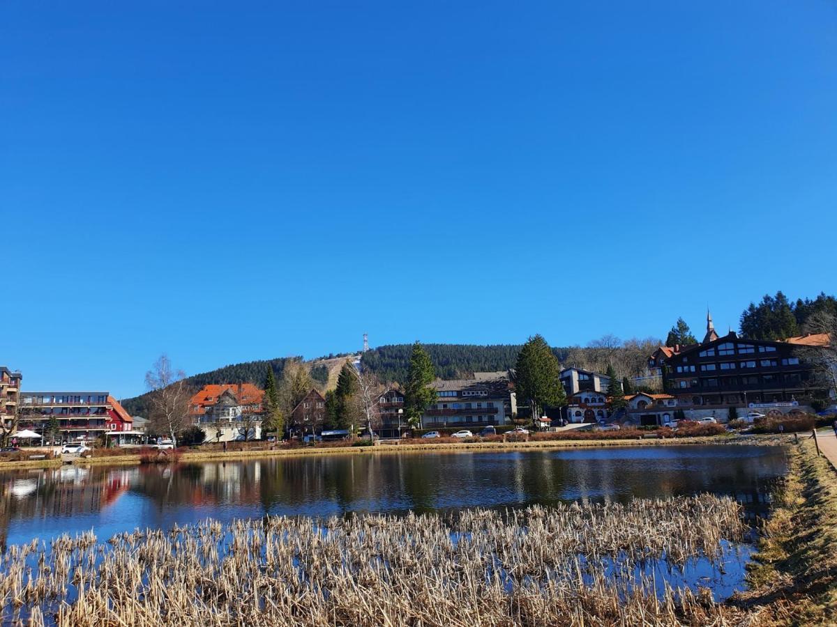 Apartment Am Bocksberg Goslar Ngoại thất bức ảnh